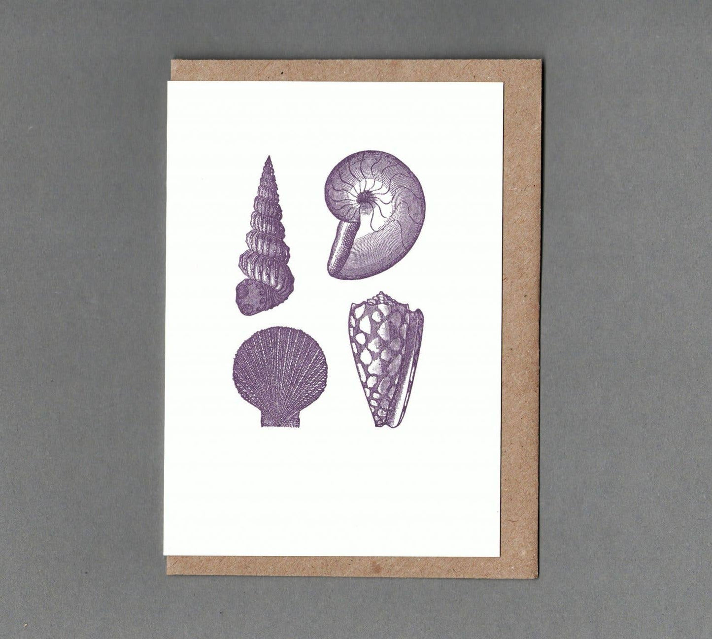 Shells - Greeting Card