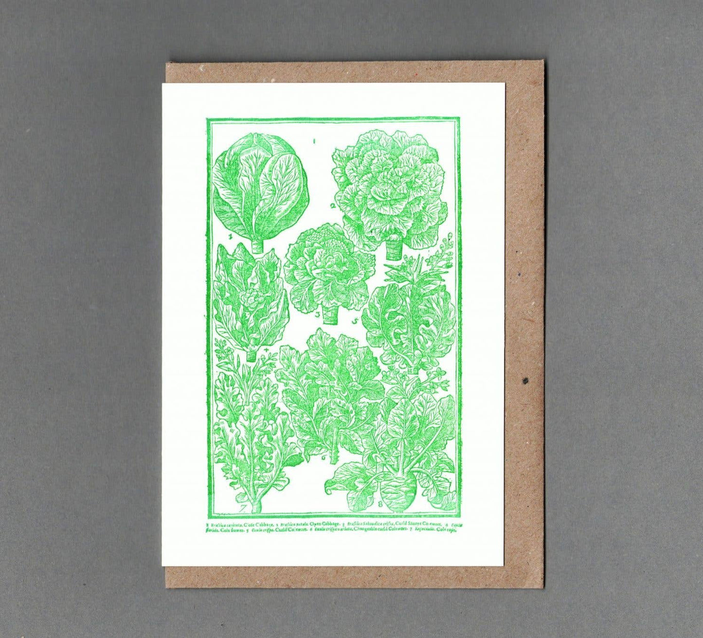 Cabbages - Greeting Card