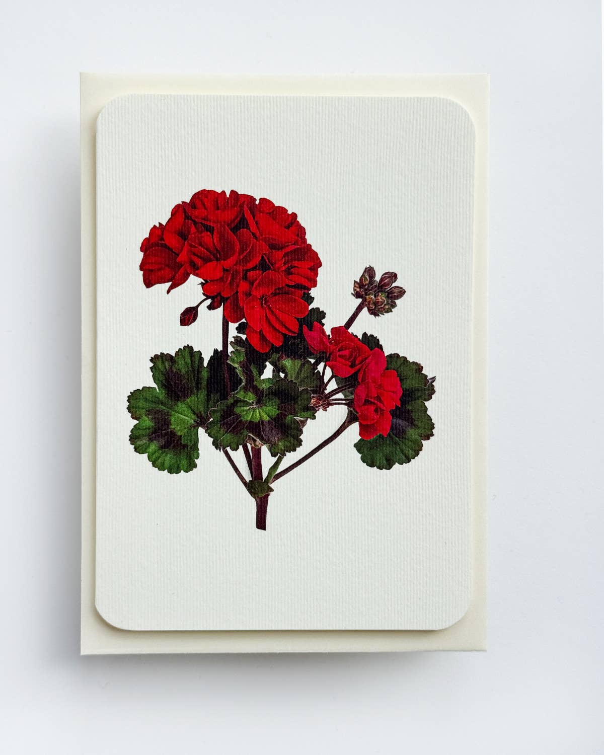 Geranium Greeting Card