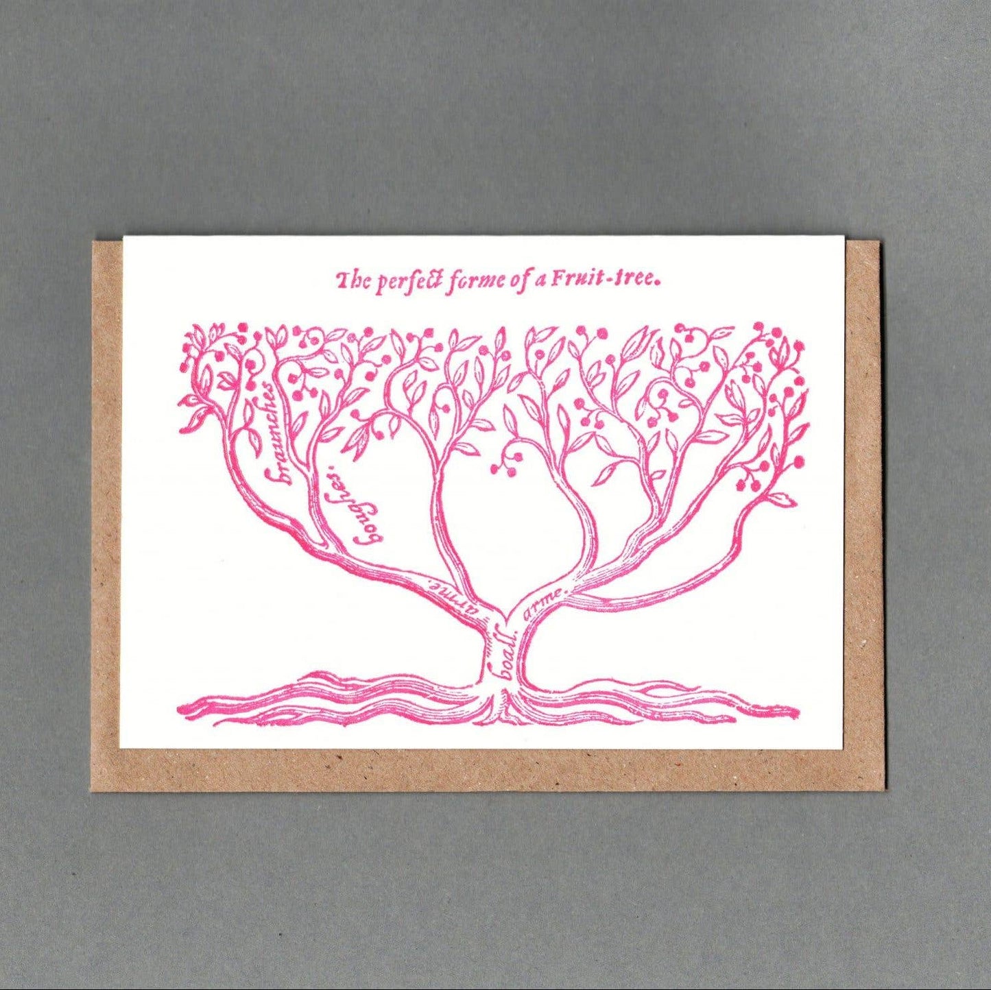 Fruit Tree - Greeting Card