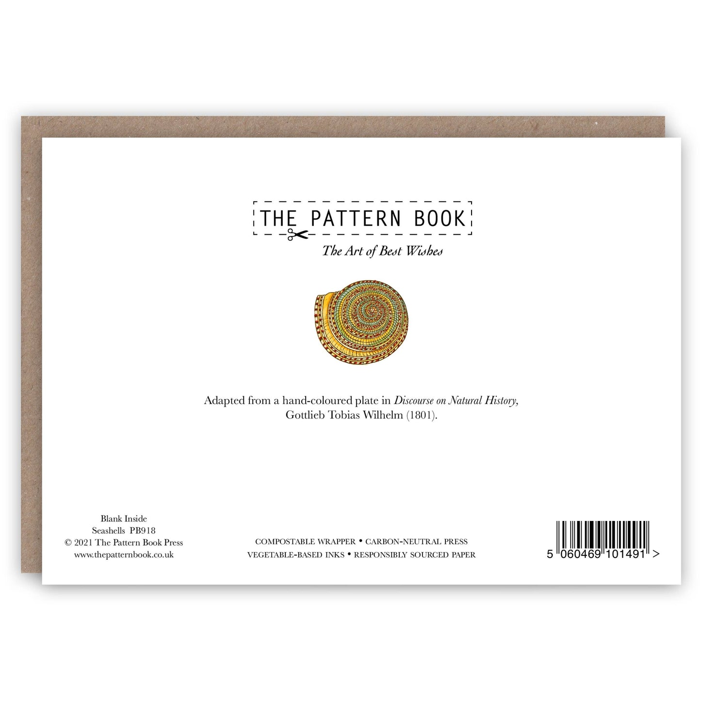 Seashells - Greeting Card