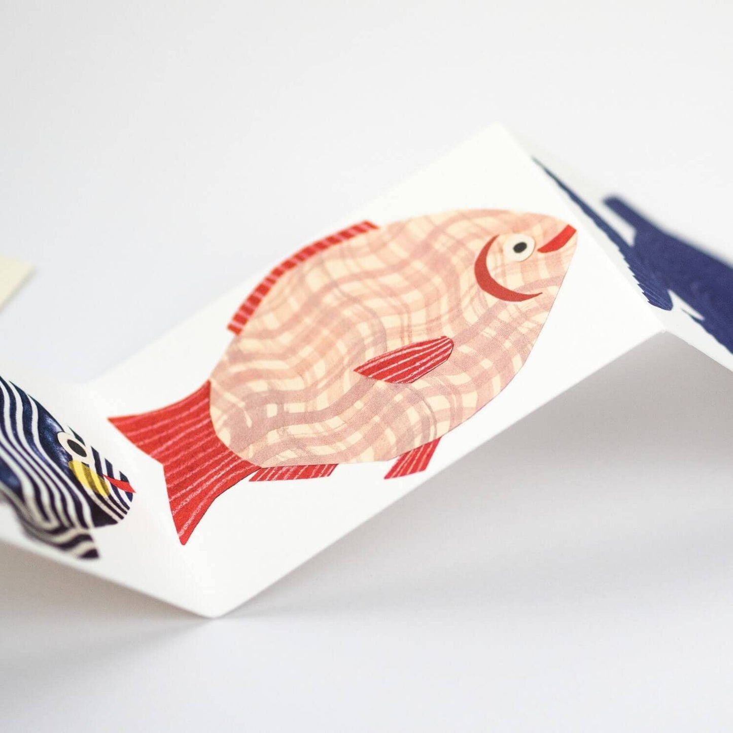 Fish Concertina Greeting Card