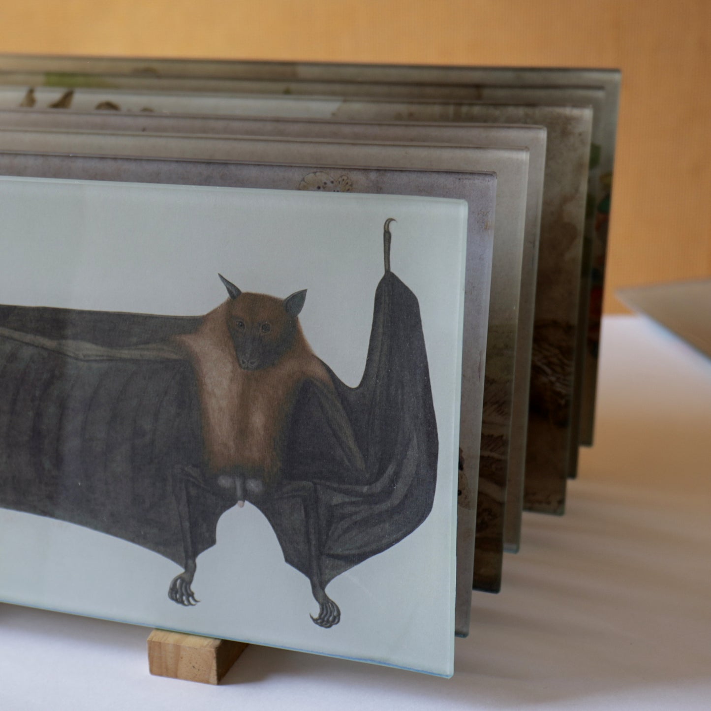 6" x 12" Cricket With A Spider & A Beetle Decoupage Tray