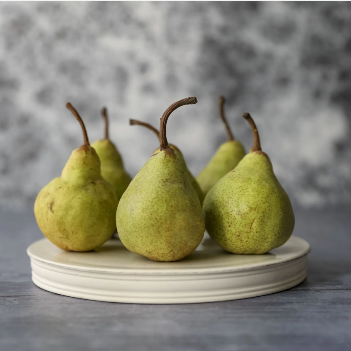 Classical Platform - Small