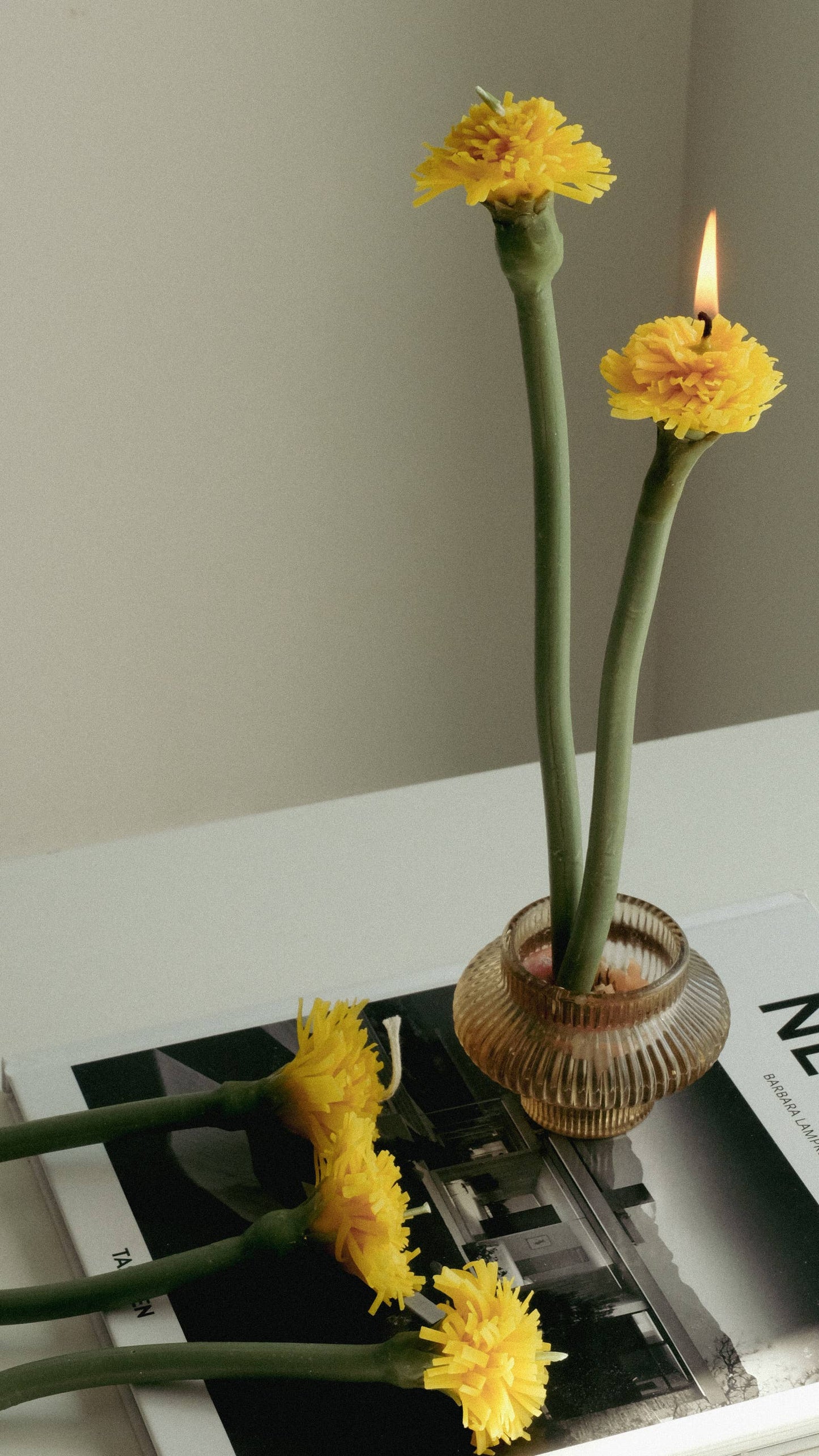 Beeswax Dandelion Dinner Candle - Box of 5