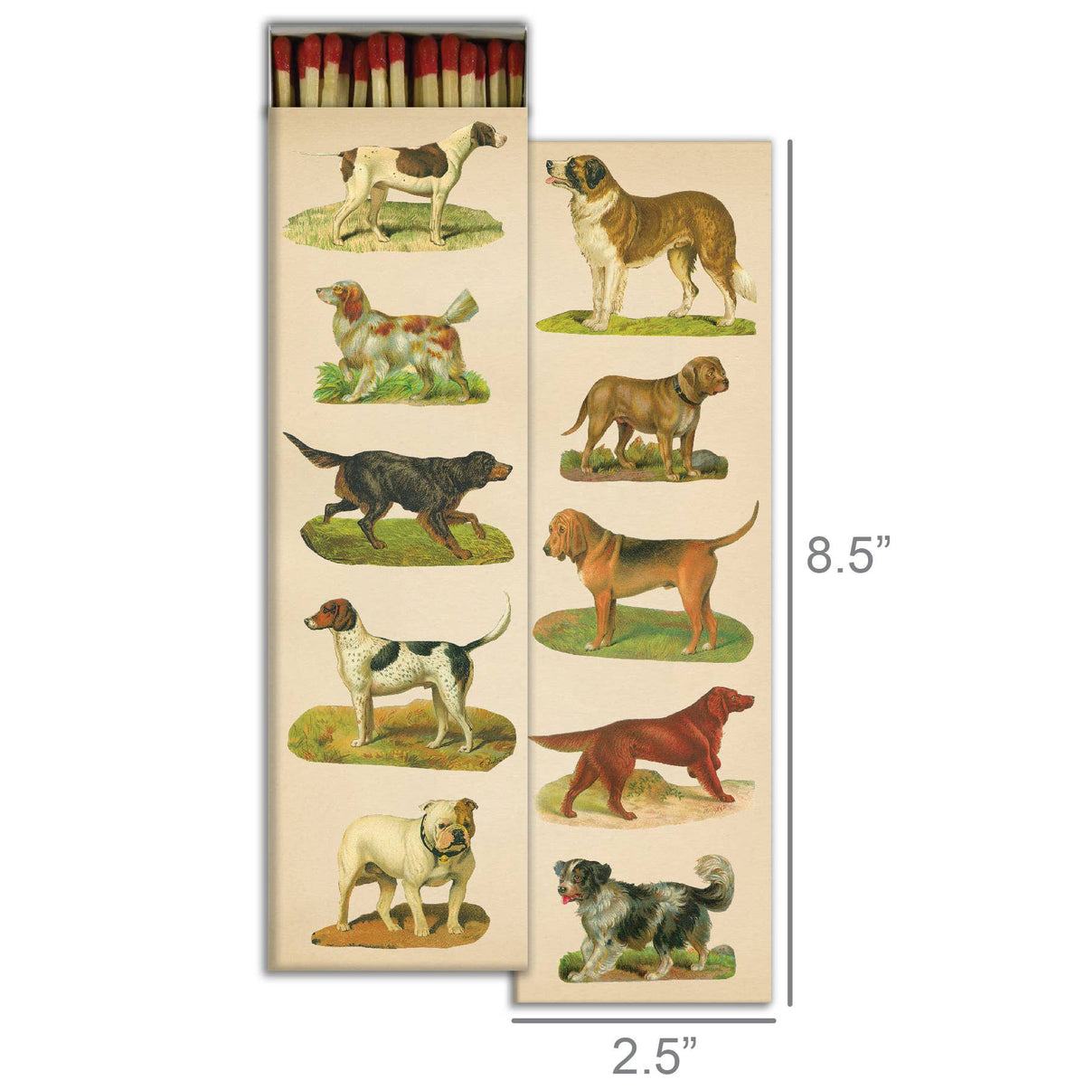 Match Box - Dog Collage