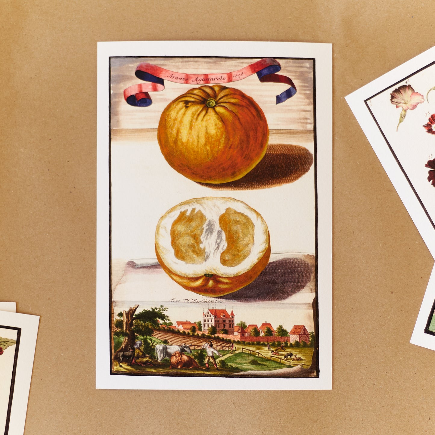 Aranzo Cornuto Incanellato Giclée Print