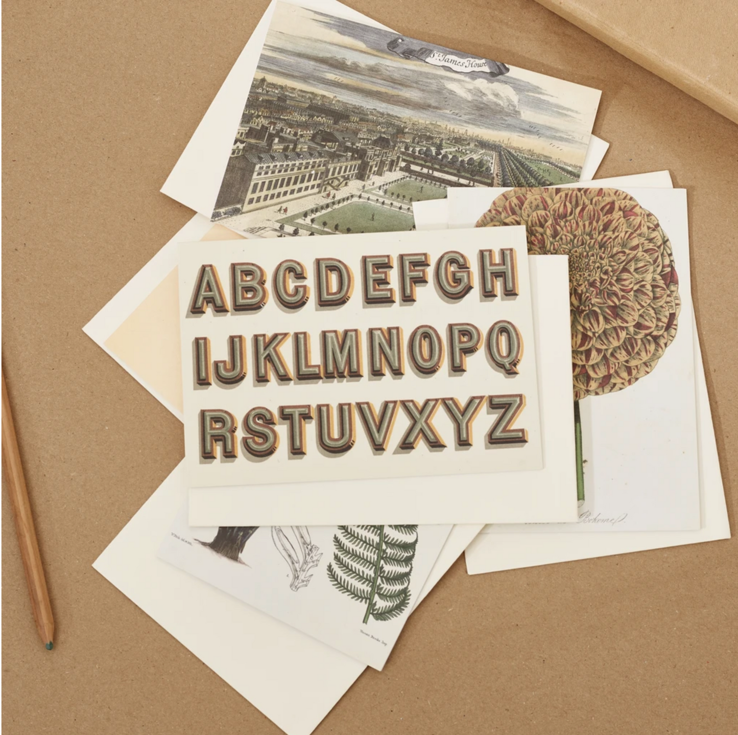 Flora, fauna, views & typography - pack of 10 assorted postcards