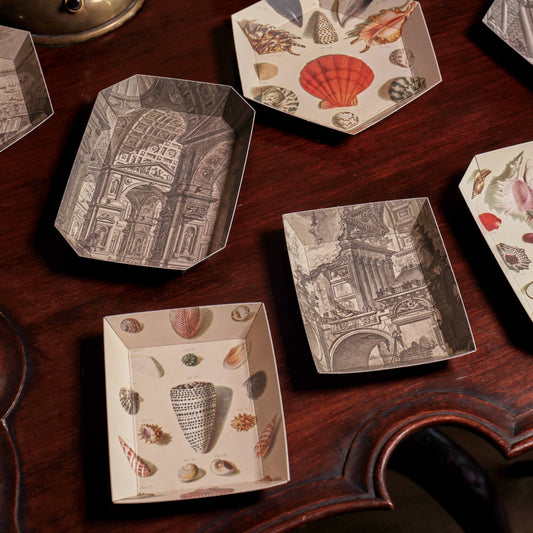 New Portable Paper Tray Packs Now Available Wholesale