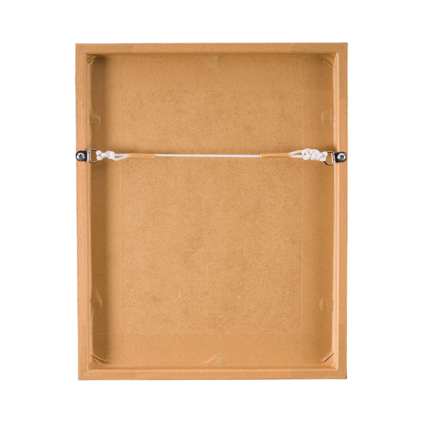 1845, Pressed British Wildflower - Blue Cornflower