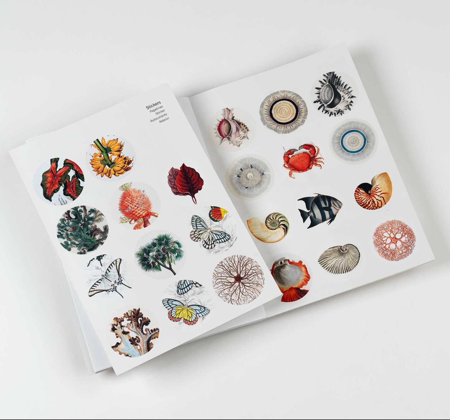 Natural History Creative Paper Book