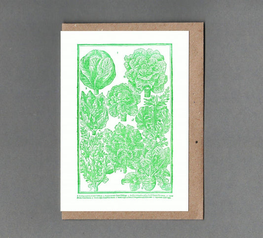 Cabbages - Greeting Card