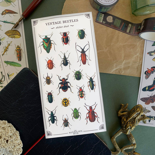 Vintage Beetles Sticker Sheet
