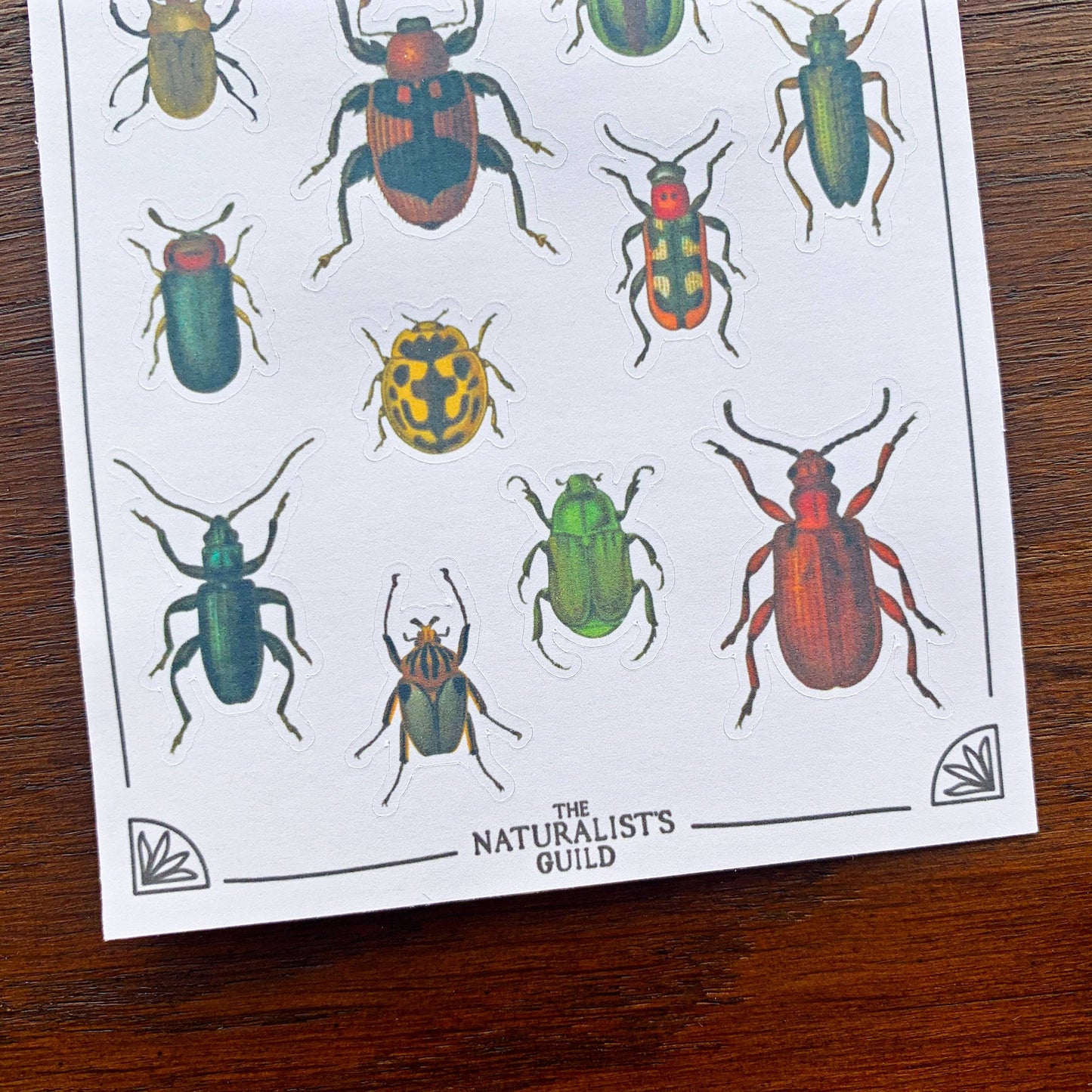 Vintage Beetles Sticker Sheet