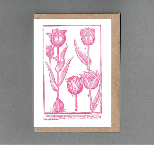 Tulips - Greeting Card