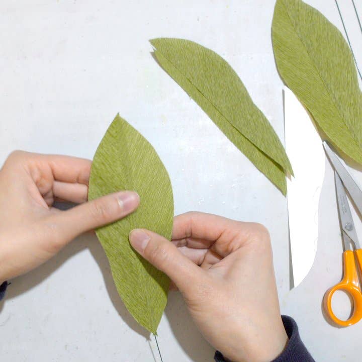 Make Your Own Crepe Paper Primula Flower
