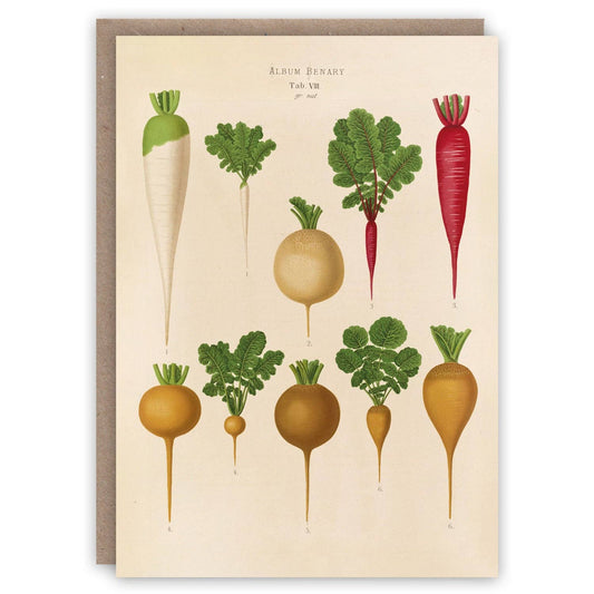 Radishes Greeting Card