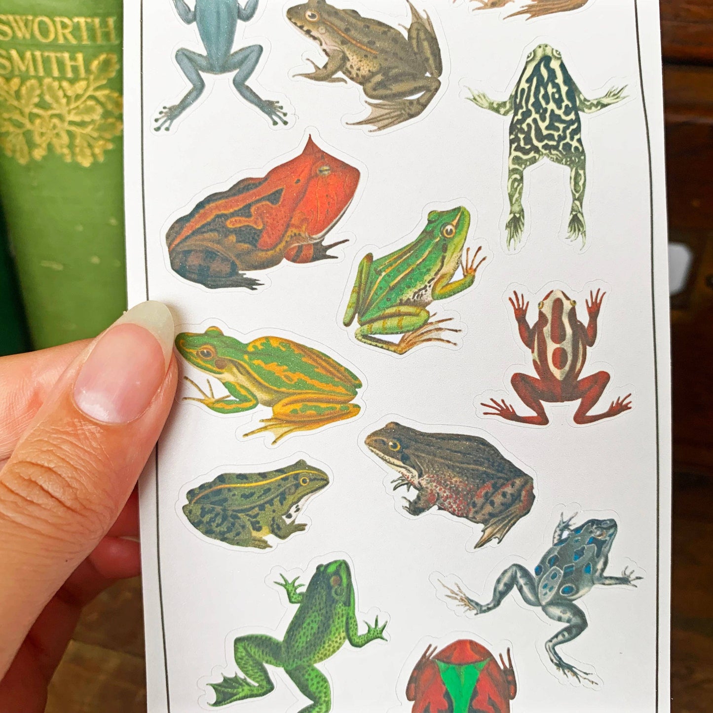 Vintage Frogs Sticker Sheet