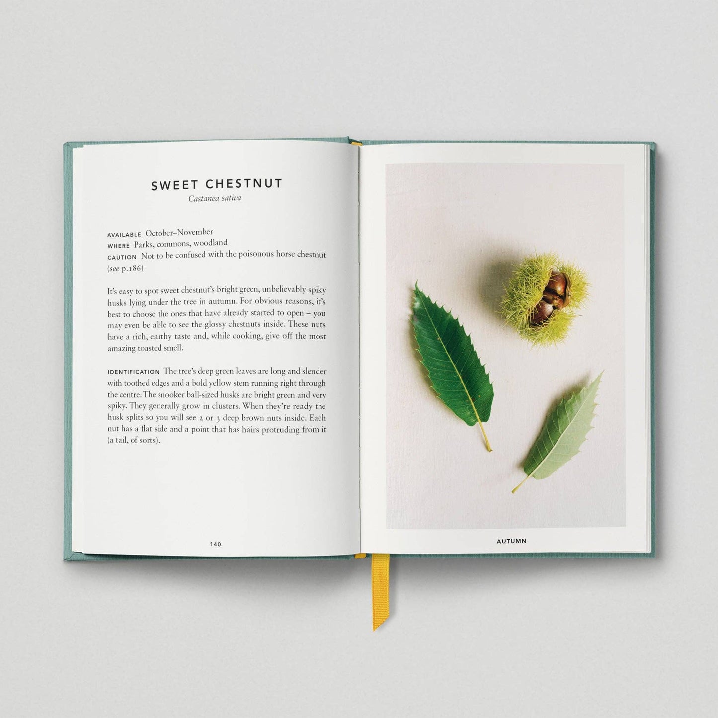 The Urban Forager: Find and Cook Wild Food in the City