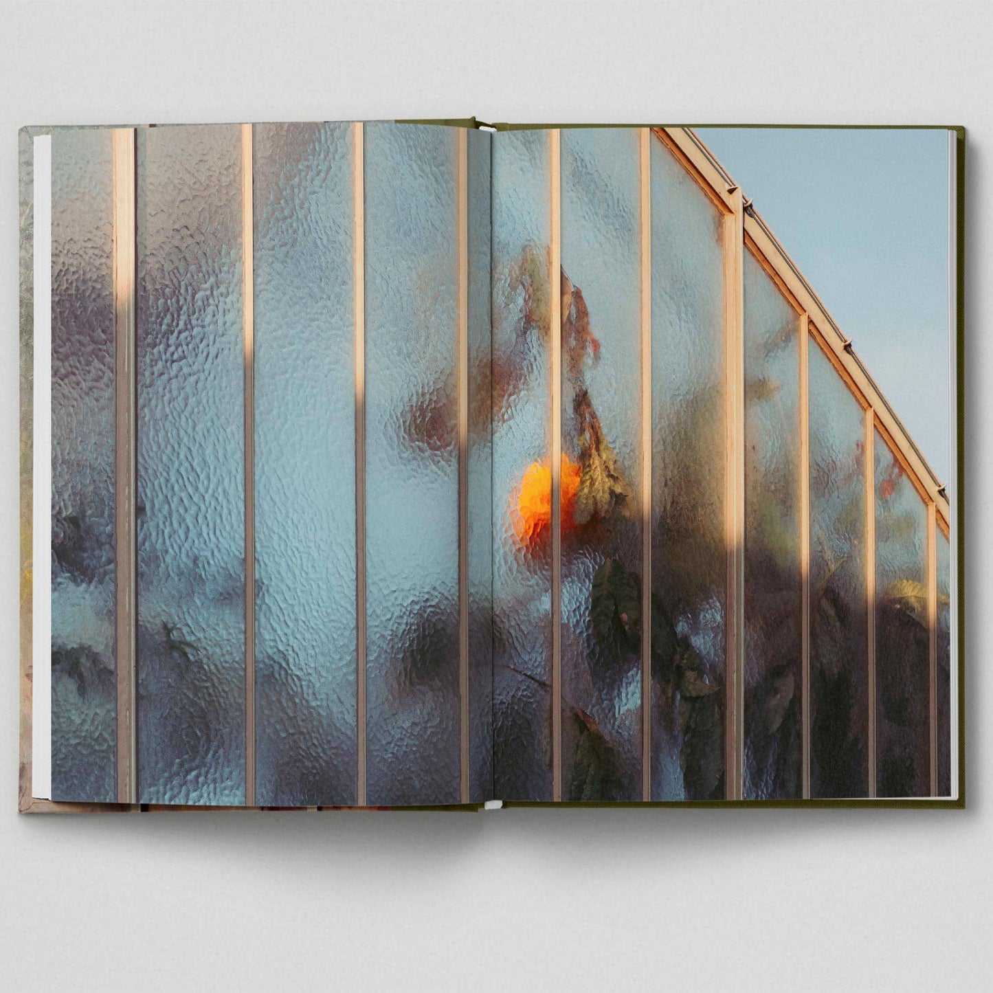 Botanical - Tales from the City