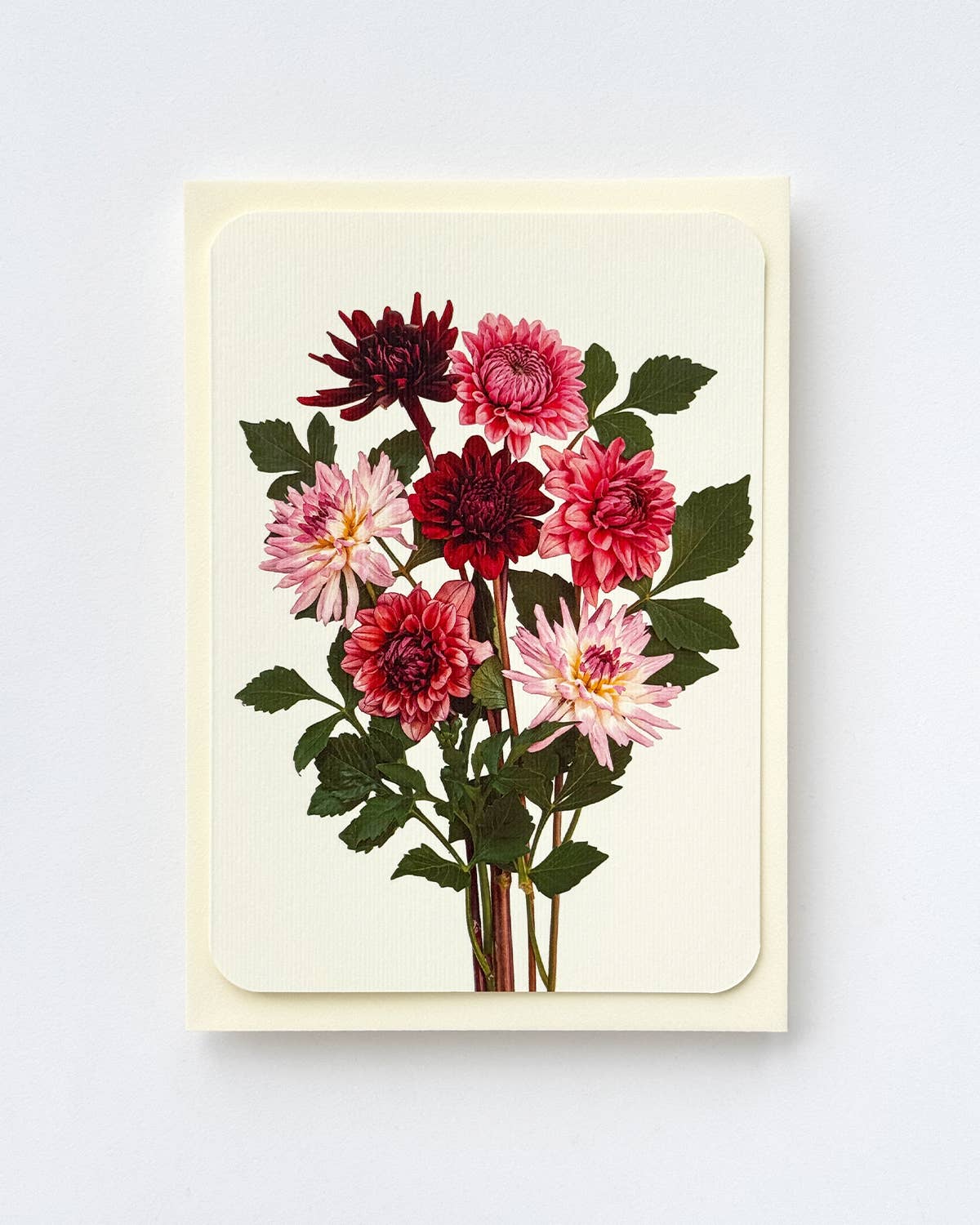 Garden Dahlias Greeting Card