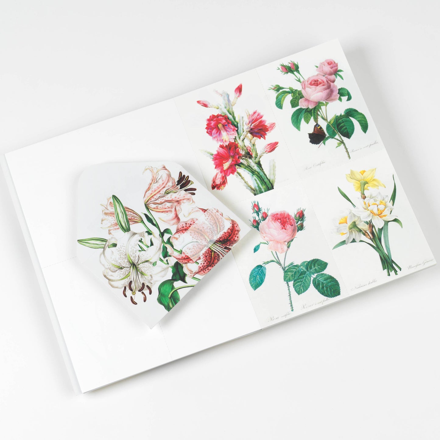 Flowers Creative Paper Book