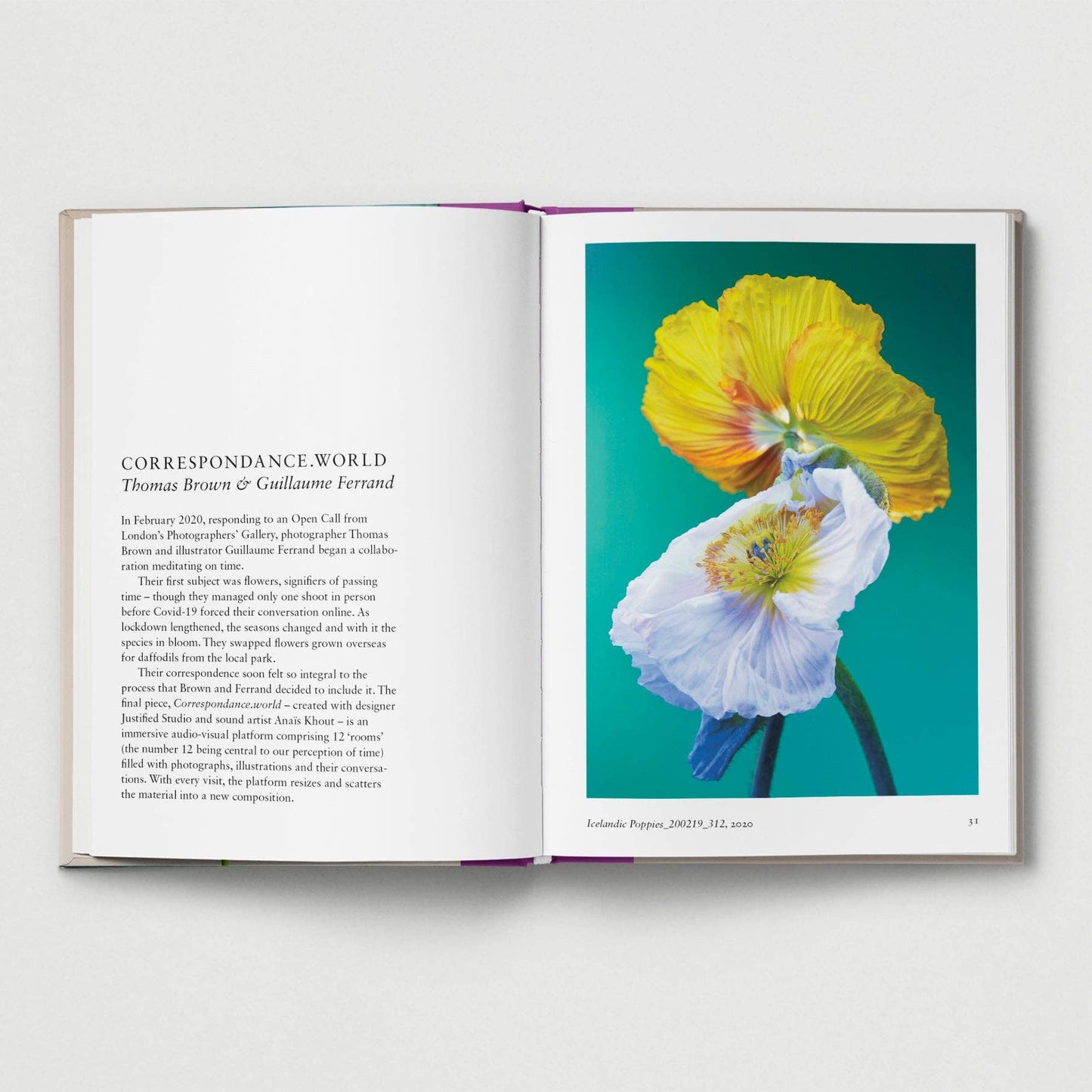 New photography of the Flower