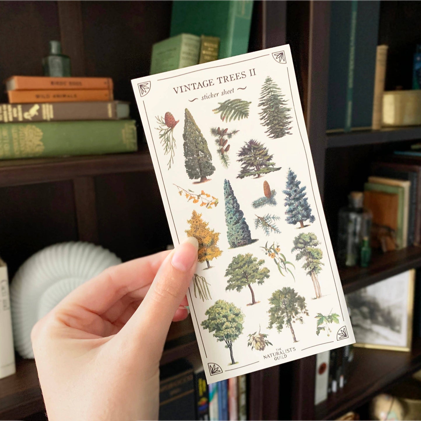 Vintage Trees II Sticker Sheet
