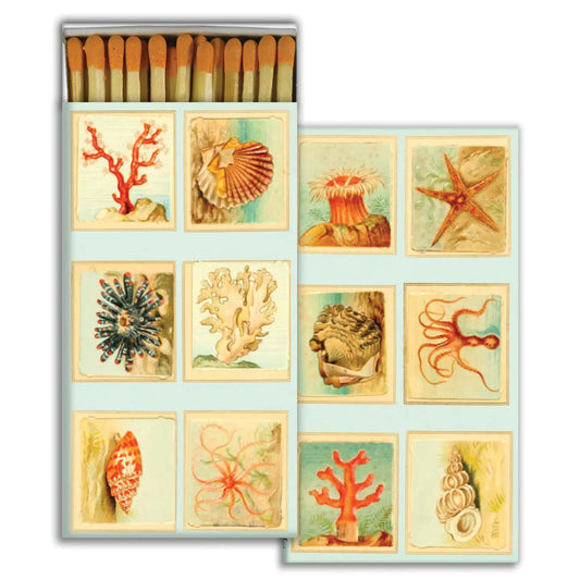 Match Box - Mollusks, Coral, Seastars