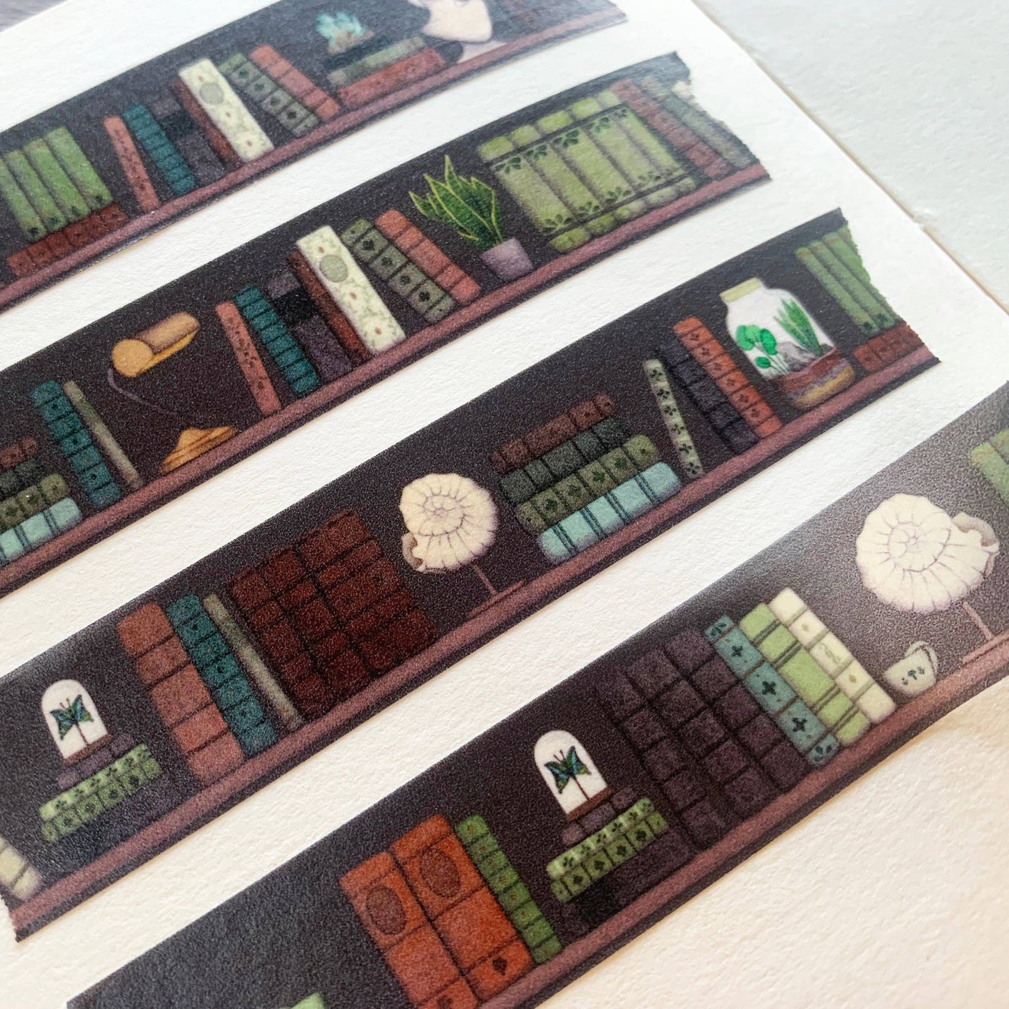 The Naturalist's Study Washi Tape