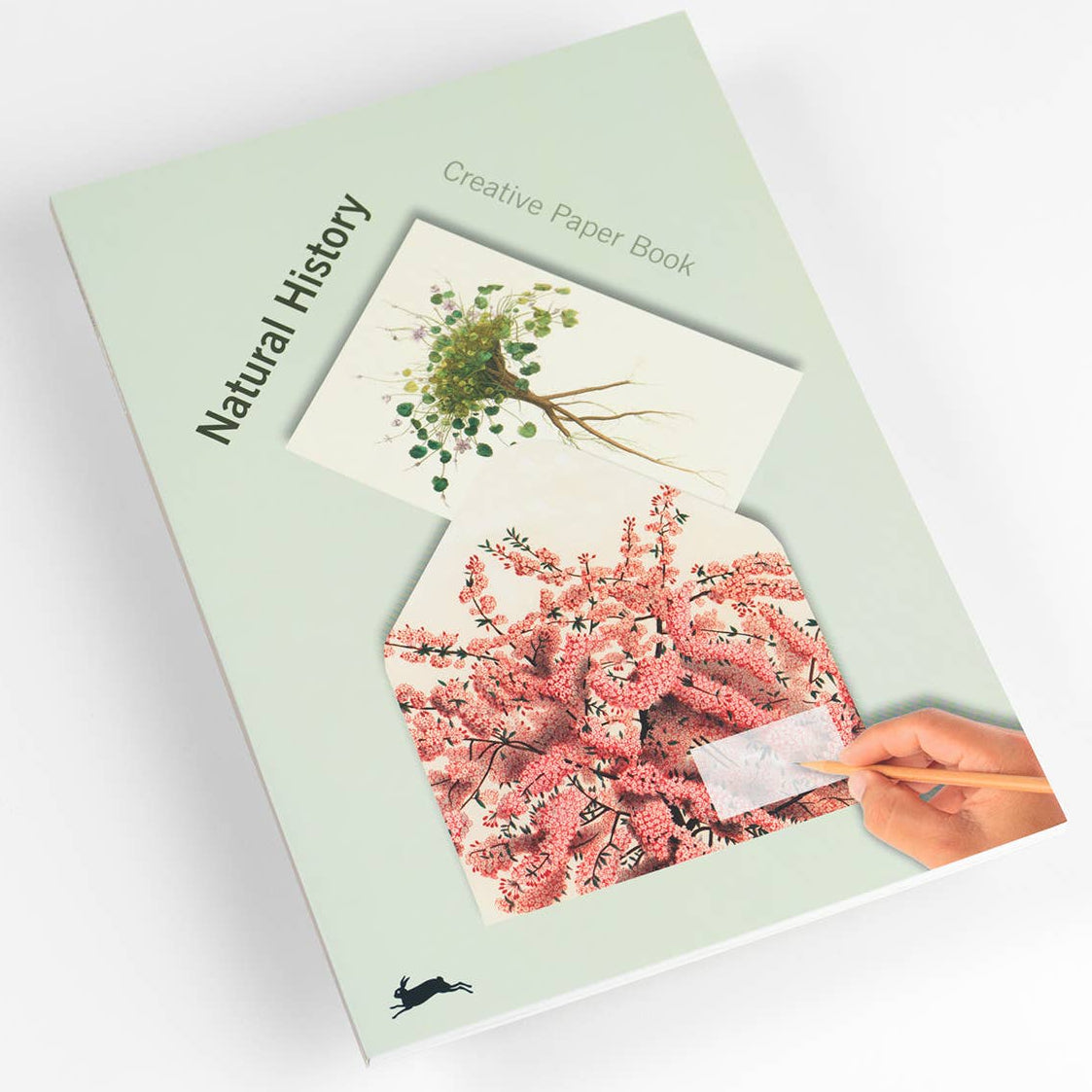 Natural History Creative Paper Book
