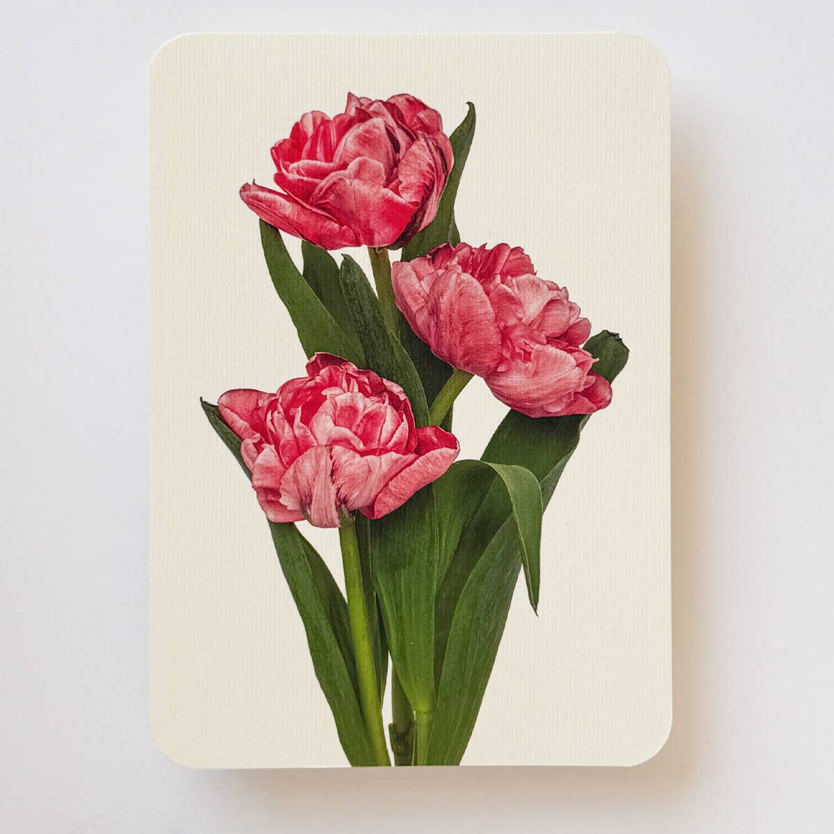 Pink Tulips Greeting Card