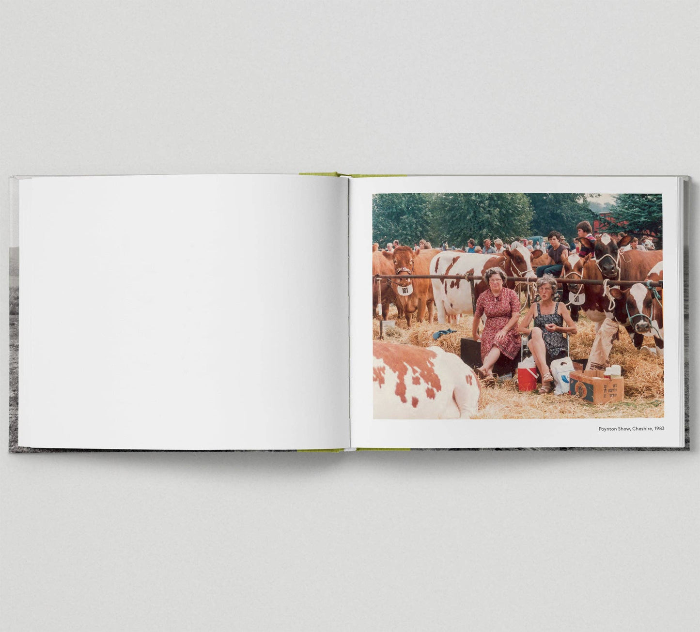 A Very British Picnic - Vintage Britain