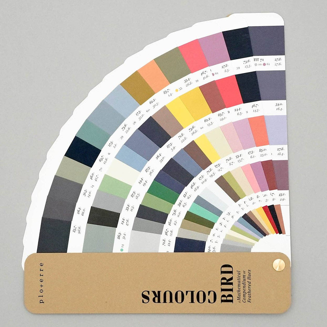 Bird Colours Book