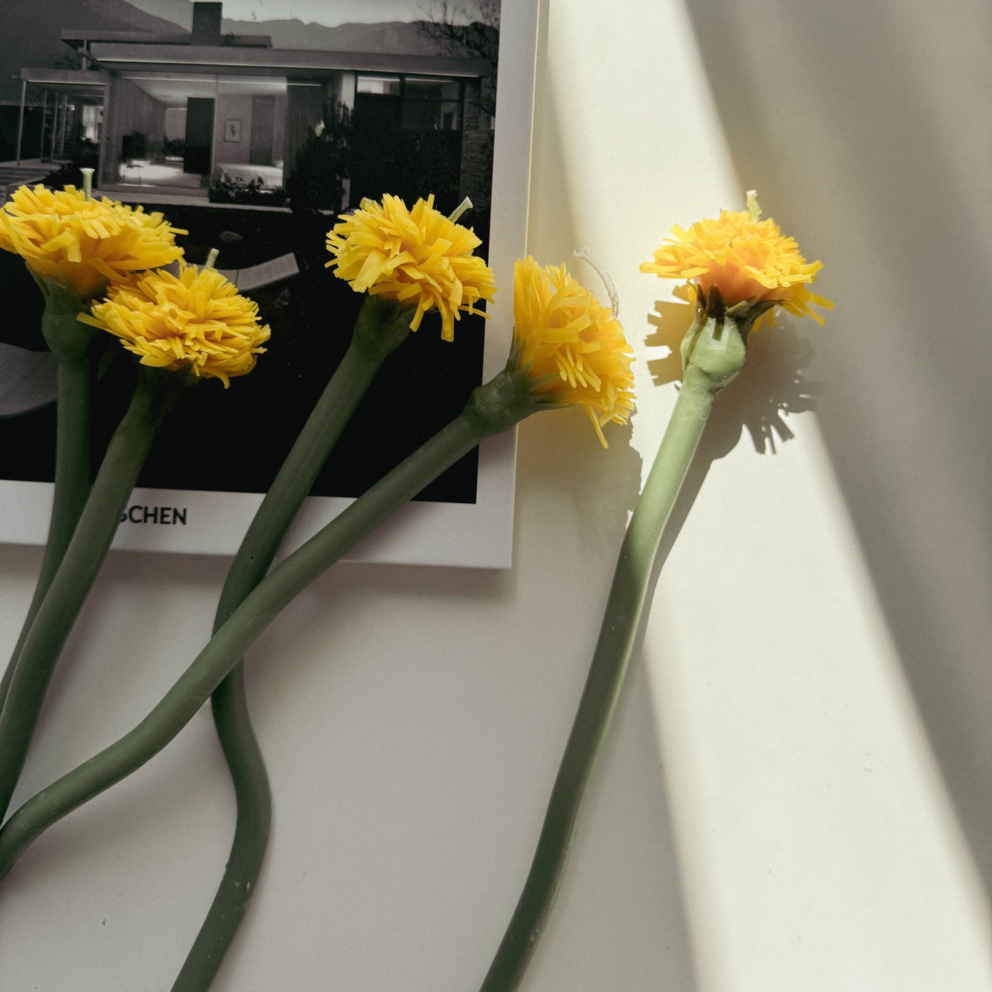 Beeswax Dandelion Dinner Candle - Box of 5