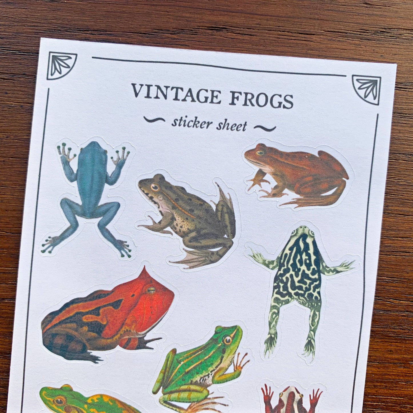 Vintage Frogs Sticker Sheet