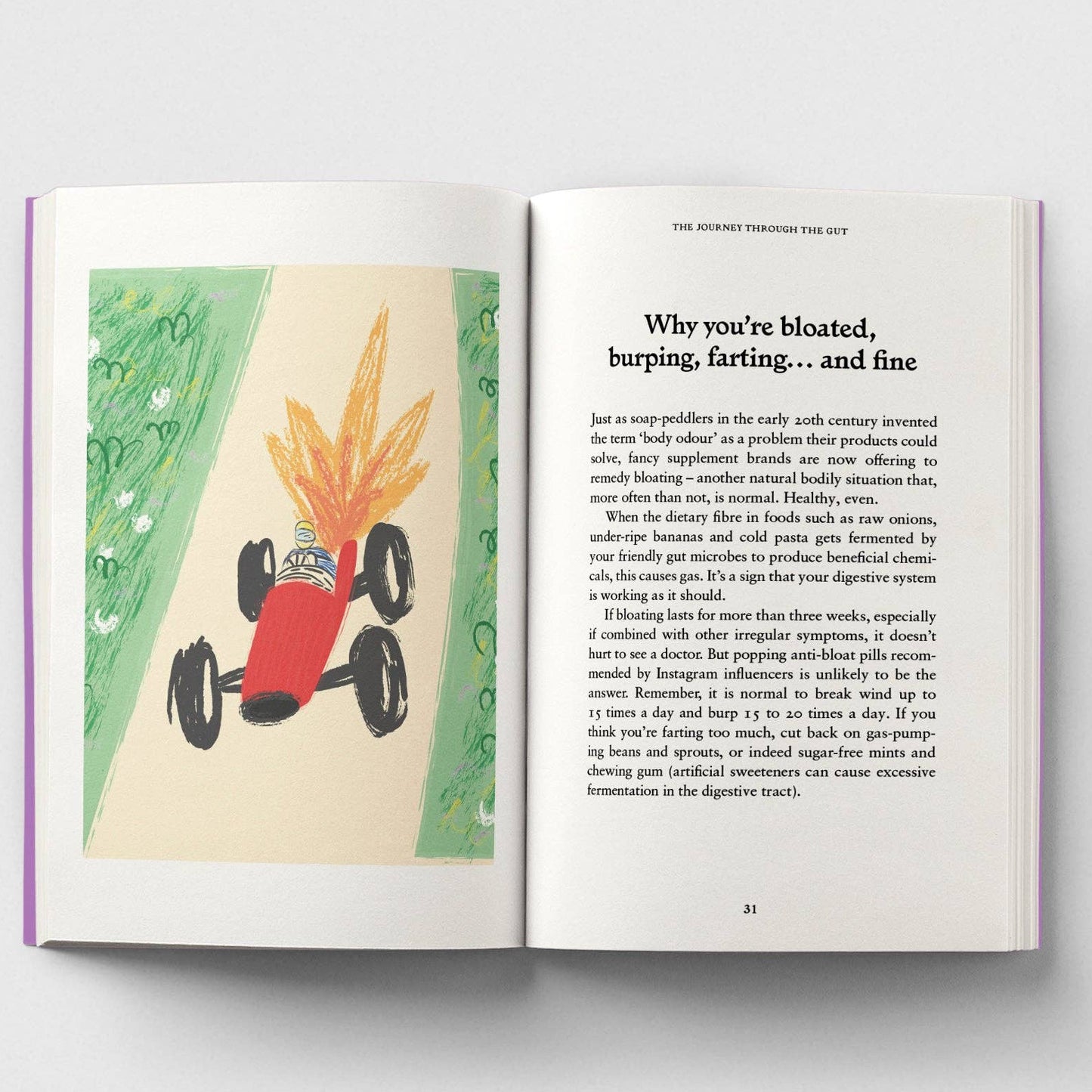 The Gut, A Pocket Primer