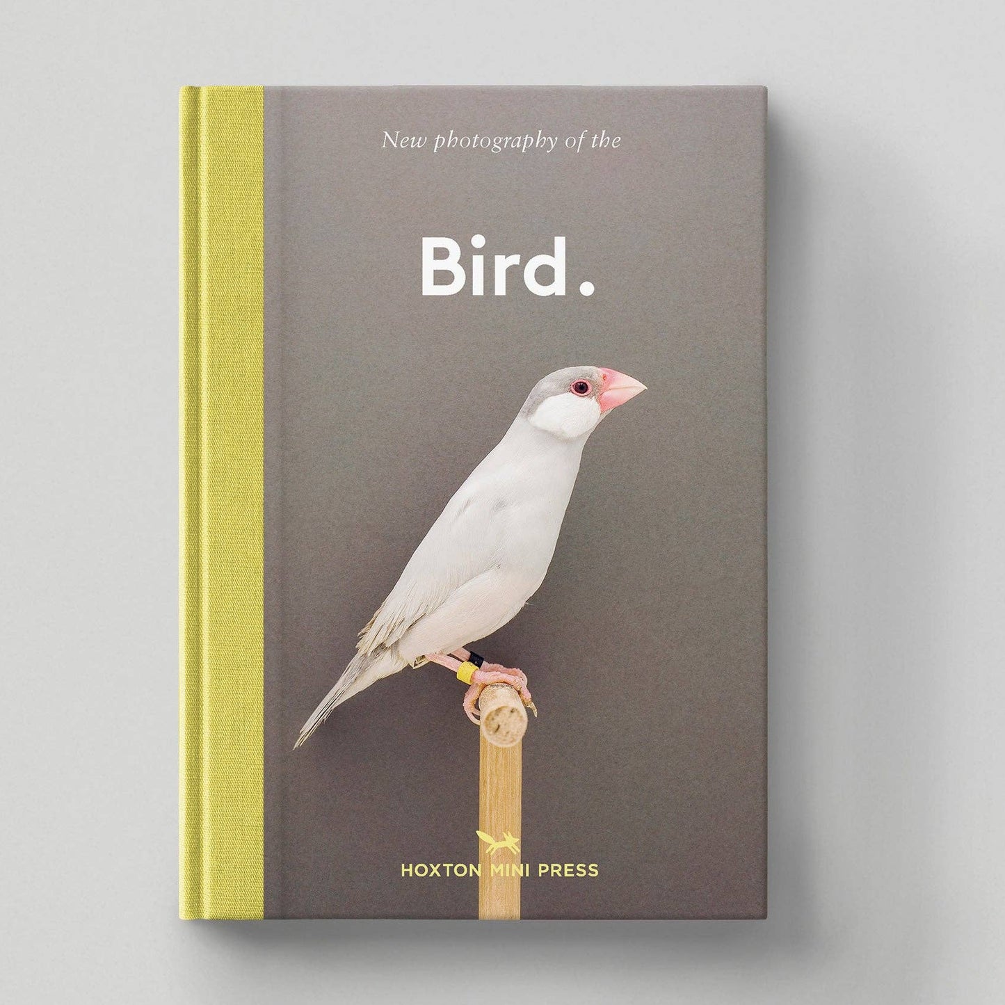 Bird - New photography of the Bird