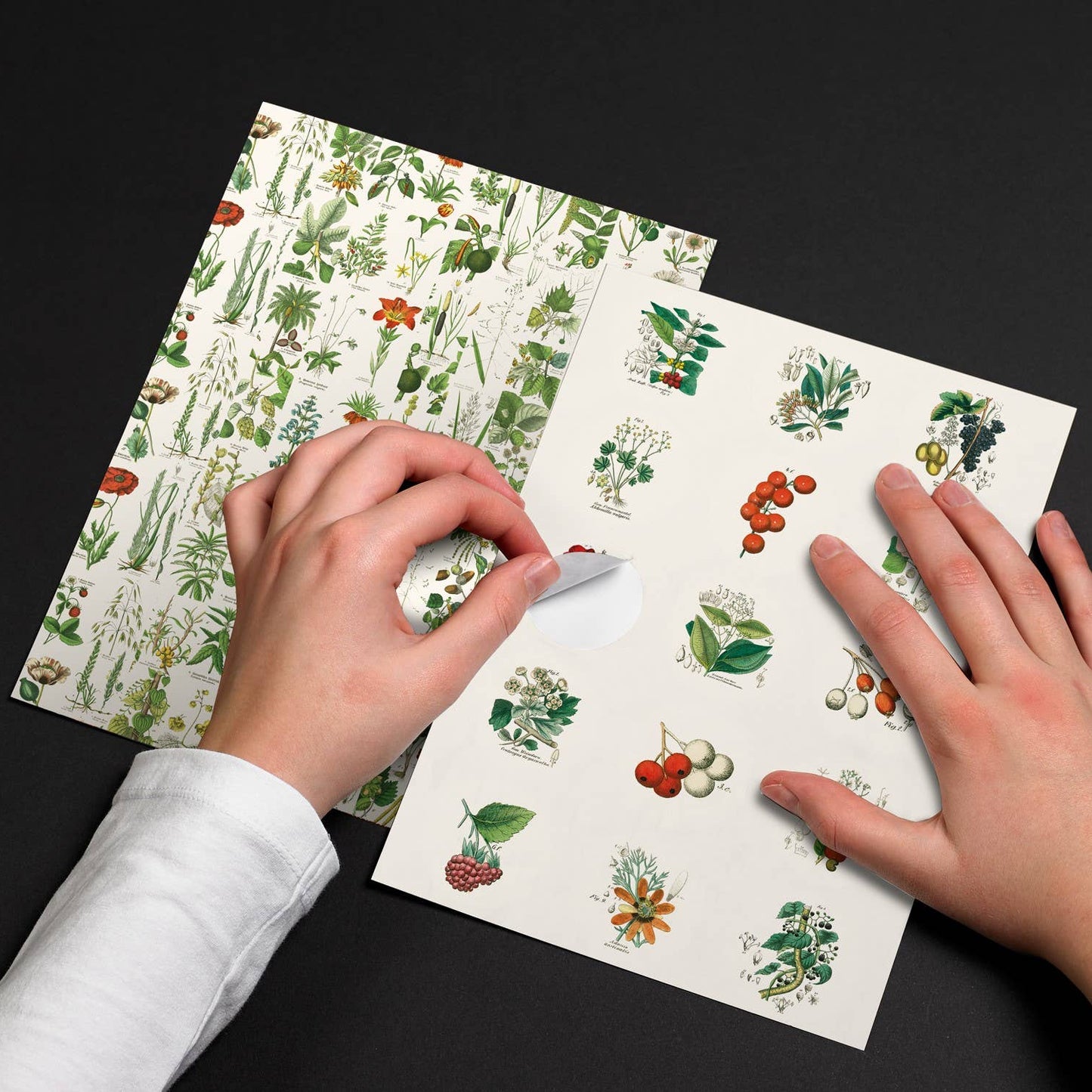 Flora Label Sticker & Tape Book