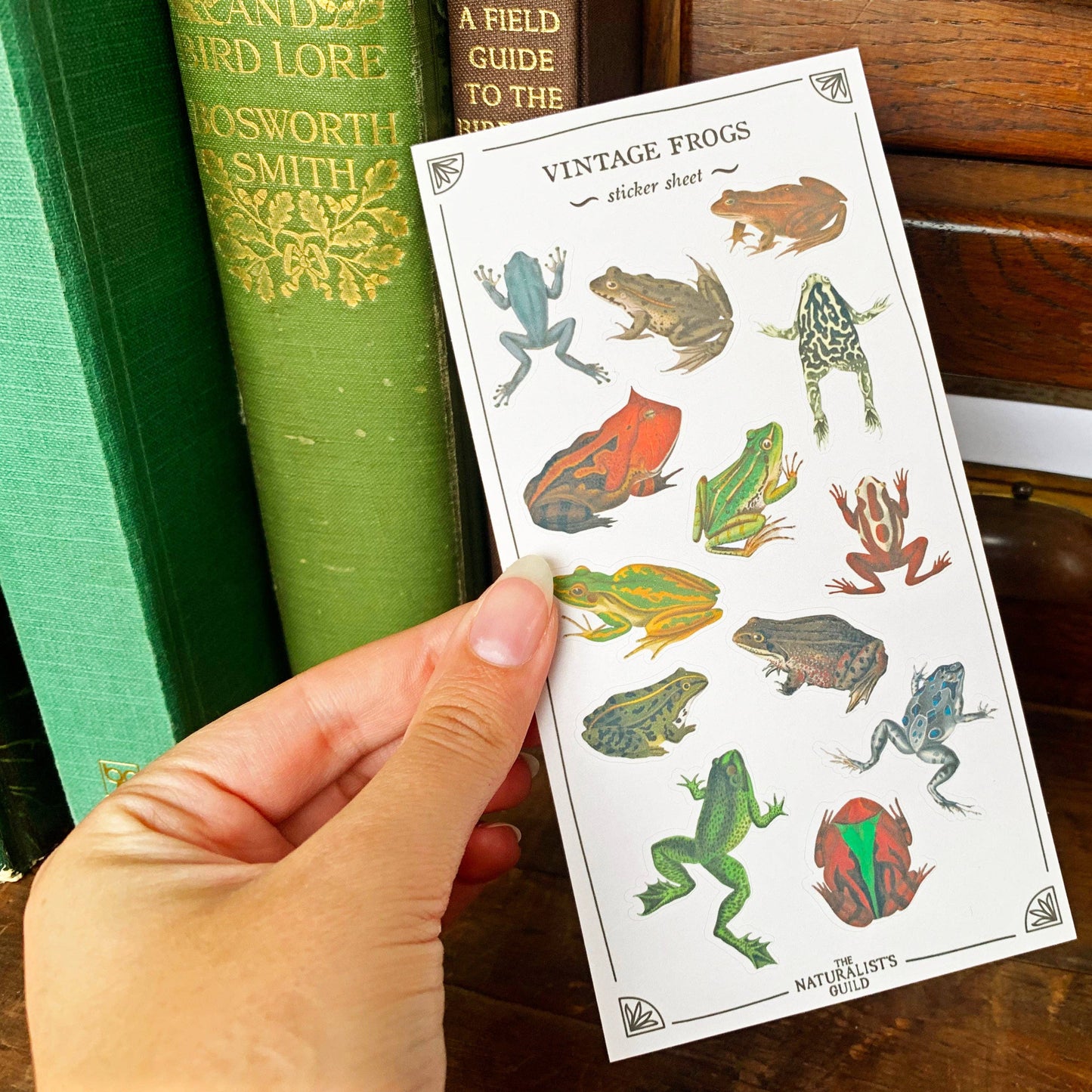 Vintage Frogs Sticker Sheet