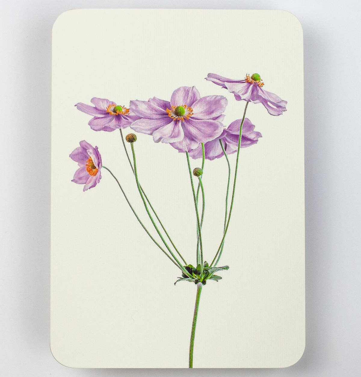 Anemone Greeting Card