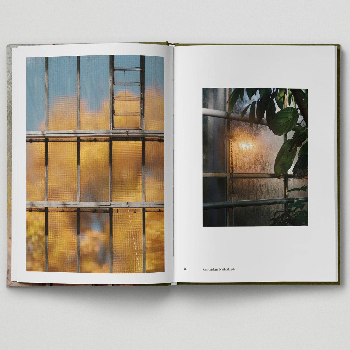 Botanical - Tales from the City