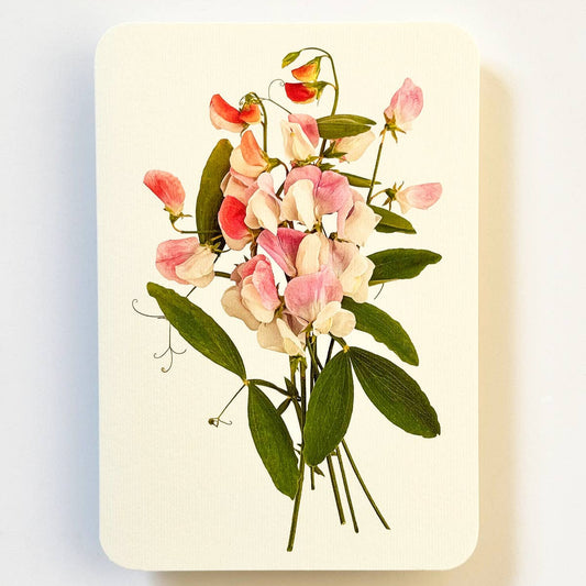 Sweet Peas Greeting Card