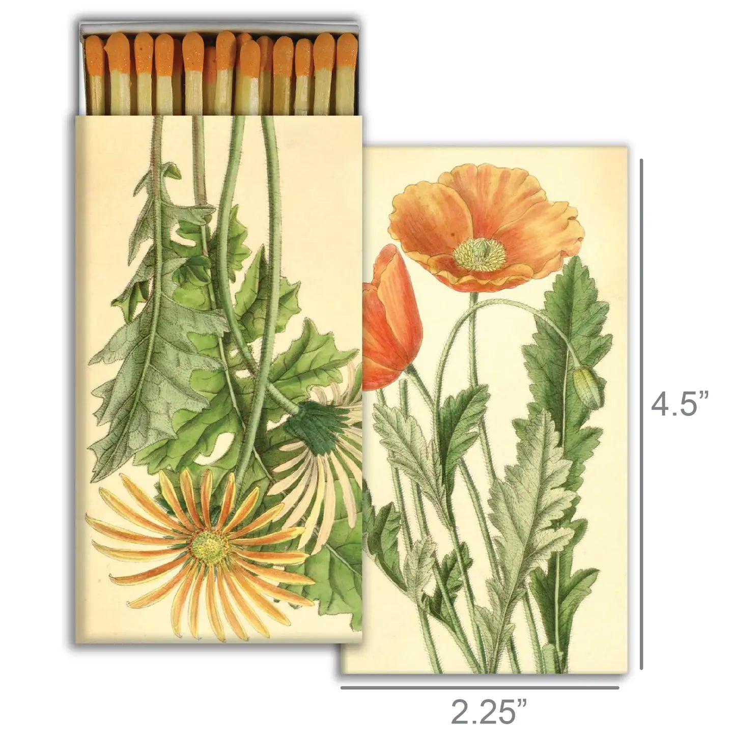 Match Box - Poppy & Gerbera Daisy