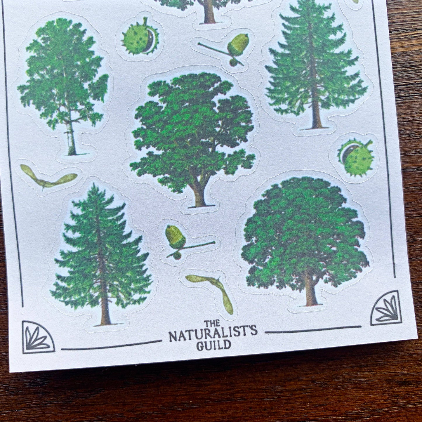 Vintage Trees Sticker Sheet