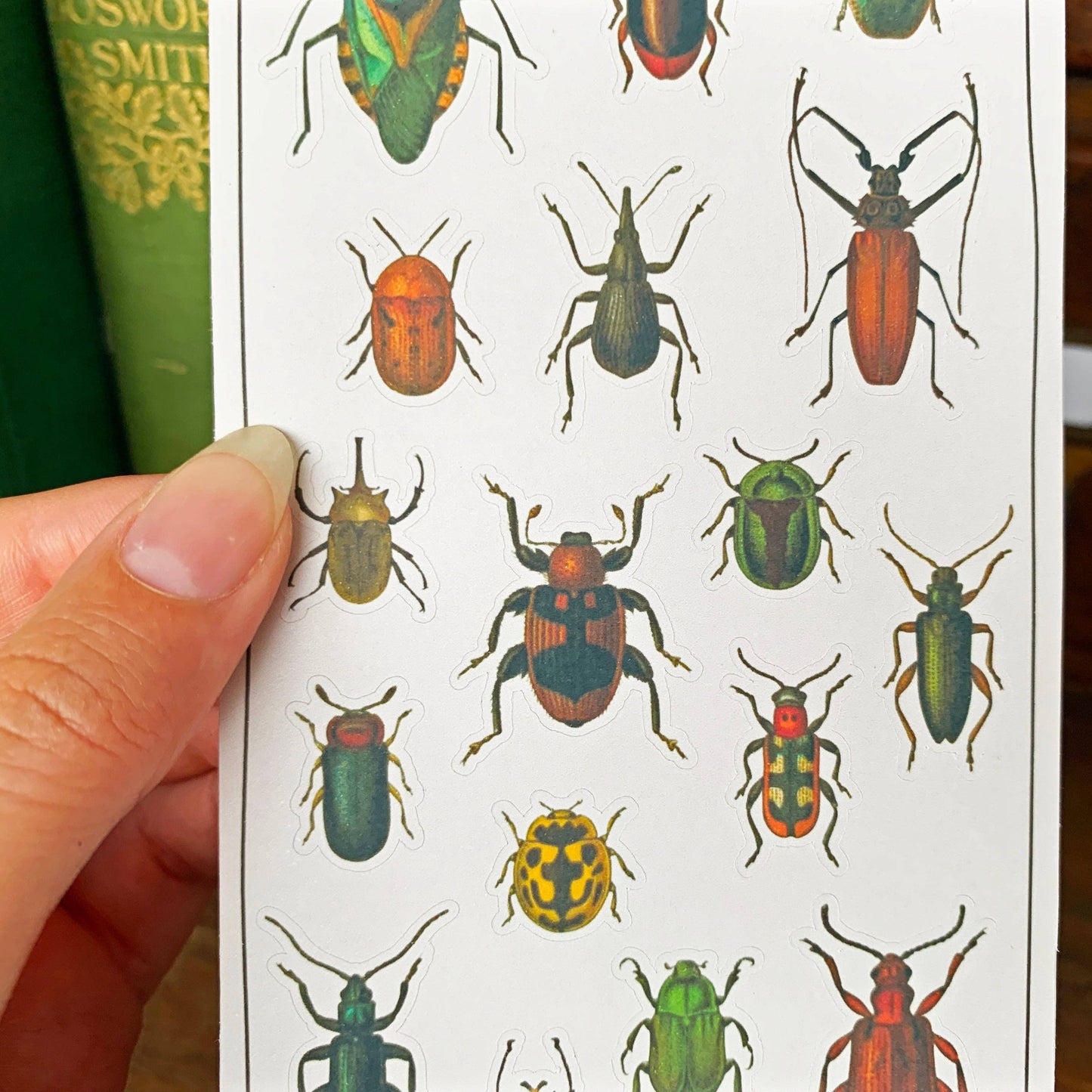 Vintage Beetles Sticker Sheet