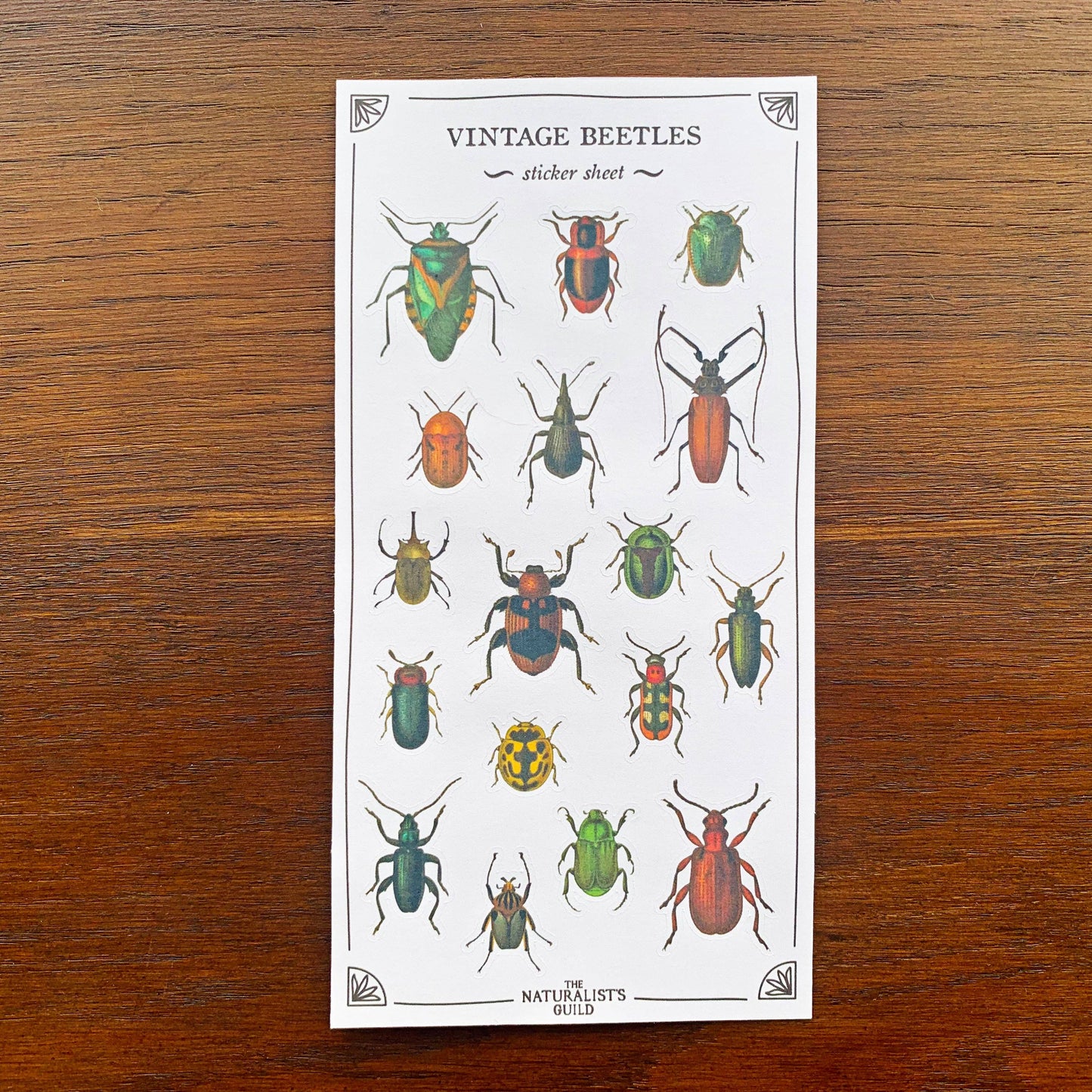 Vintage Beetles Sticker Sheet