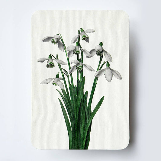 Snowdrops Greeting Card
