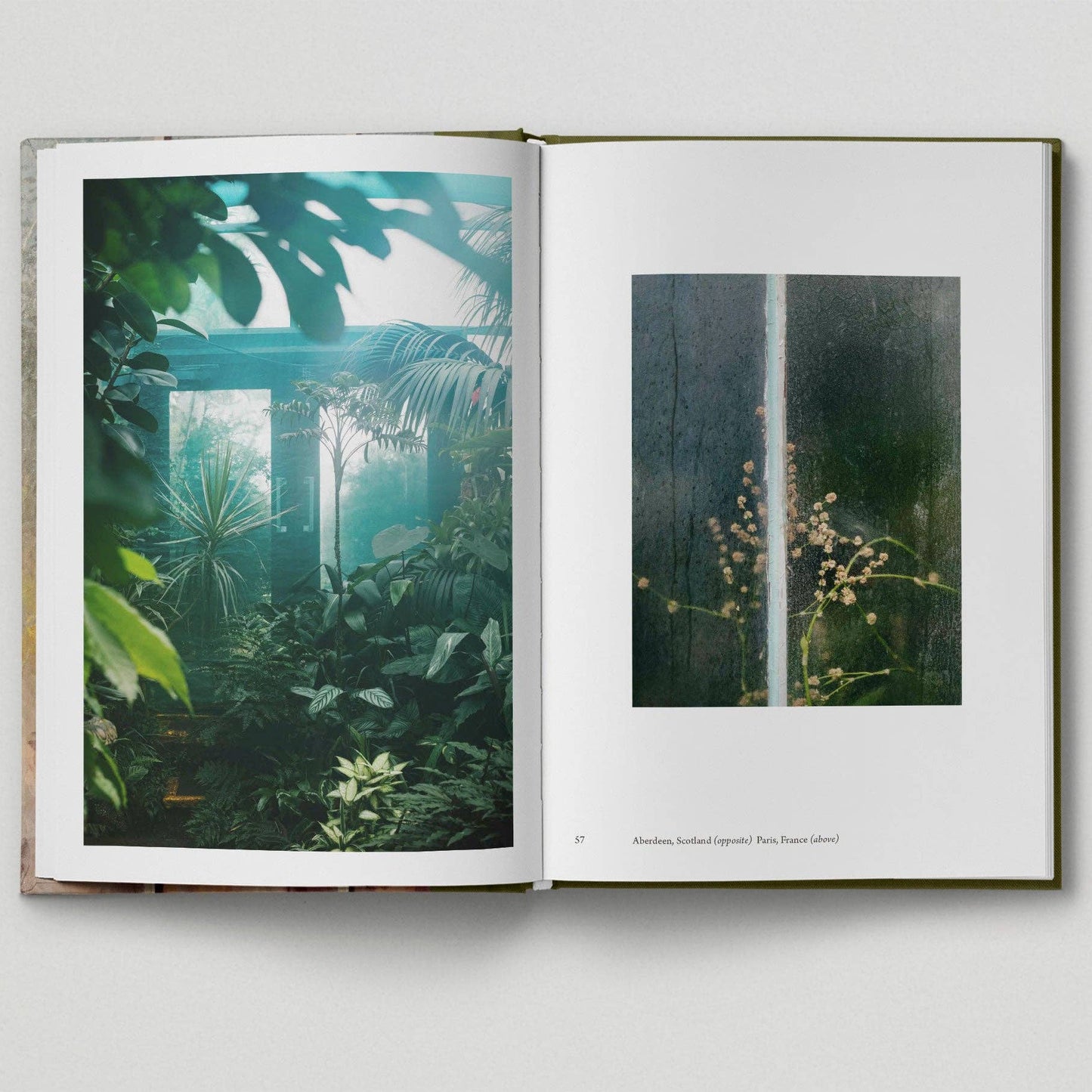 Botanical - Tales from the City