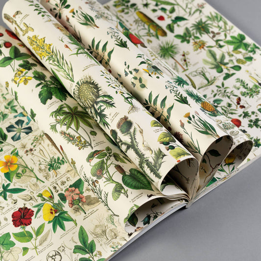 Flora Gift & Creative Paper Book Vol. 85